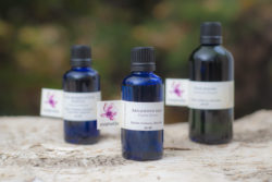 Olje slivovih jedrc, hladno stiskano, 30 ml-233