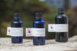 Olje riževih luščin, hladno stiskano, 100 ml-237