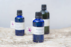 Mandljevo olje, ekološko-236