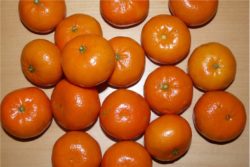 EO mandarine, ekološko-467