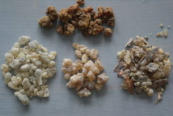 Smola kadilne bosvelije HOJARI ZELENA, 20 g - NOVO-637