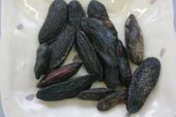 Tonka, 20 g - NOVO-0