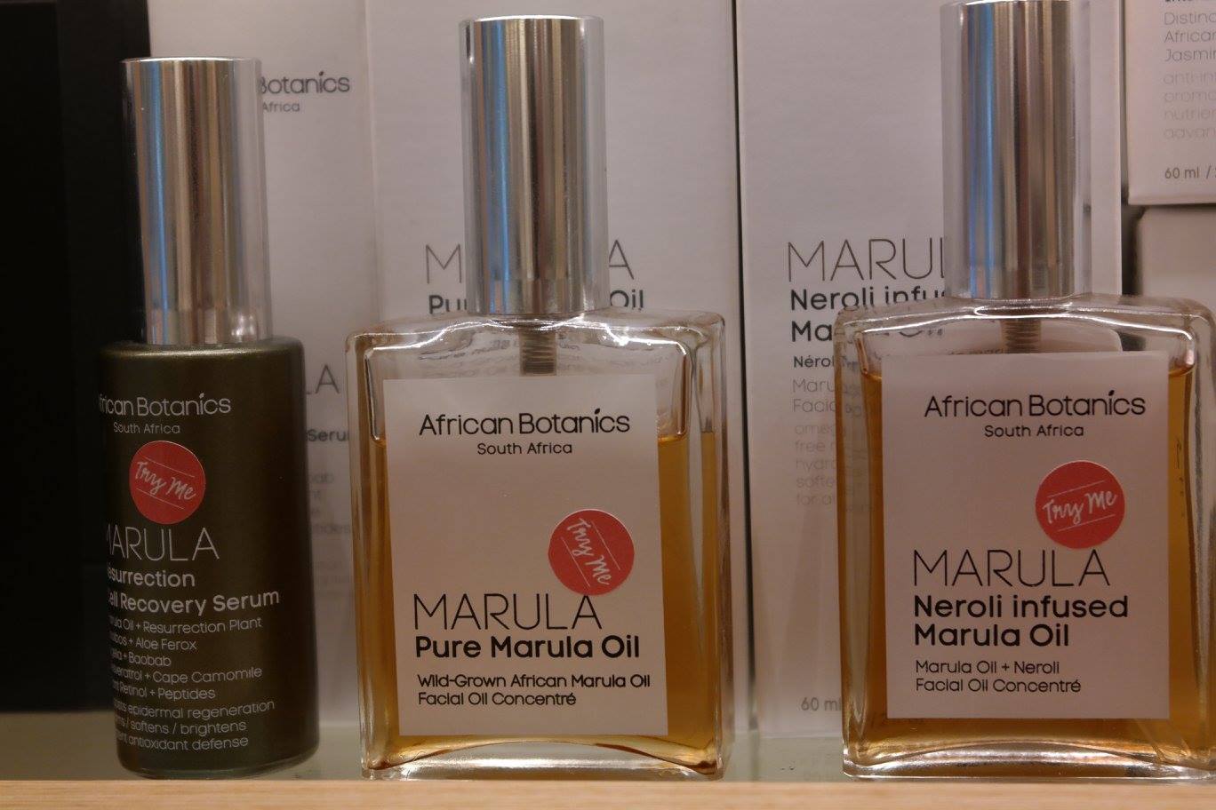 13908871_1260756063964869_4874945406609951426_o