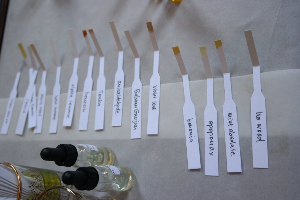 13724894_1251665771540565_6226664608558504795_o